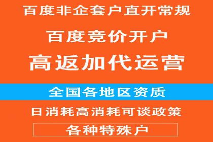百度竞价SEM成功案例：揭秘广告投放秘诀